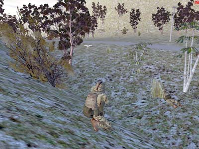Third Person View