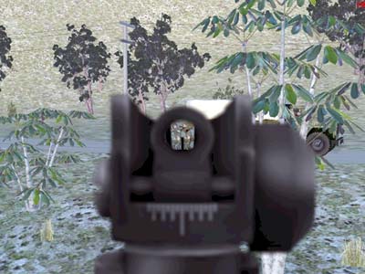 Weapon sight view